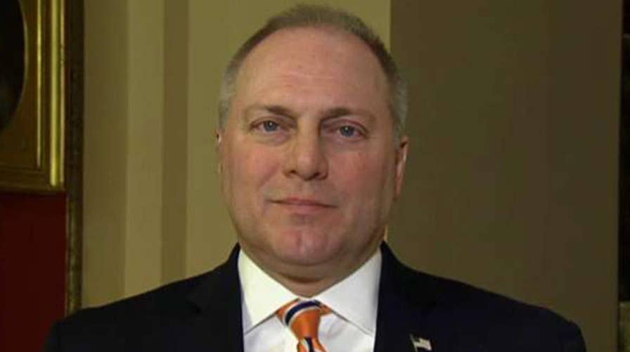 Scalise: Democrats have walked away from the table every time when trying to solve DACA