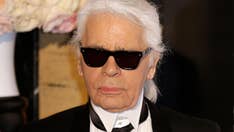 Karl Lagerfeld wanted pet cat Choupette to inherit part of his fortune