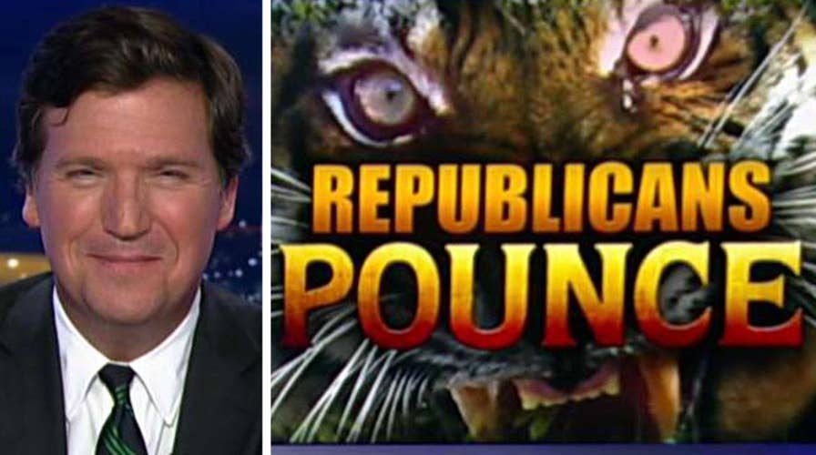Tucker: Watch out! Republicans 'pounce'