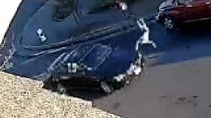 Police search for hit-and-run driver that struck 7-year-old