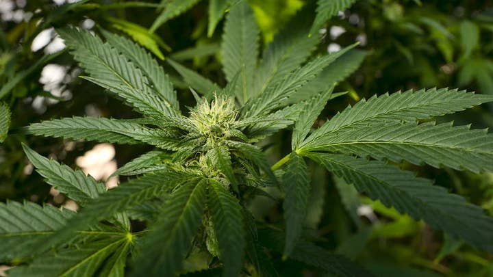 Heavy cannabis use linked to strange syndrome