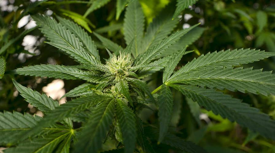 Heavy cannabis use linked to strange syndrome