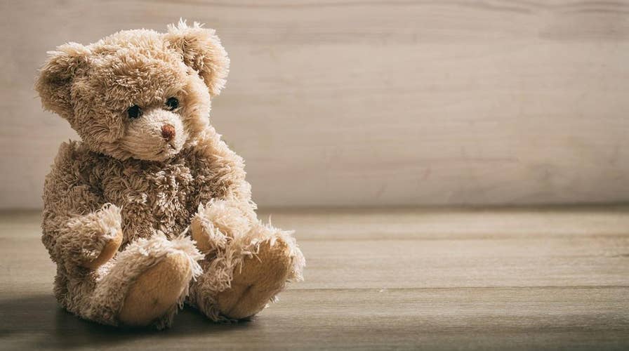 Flying stuffed animal costs Georgia 