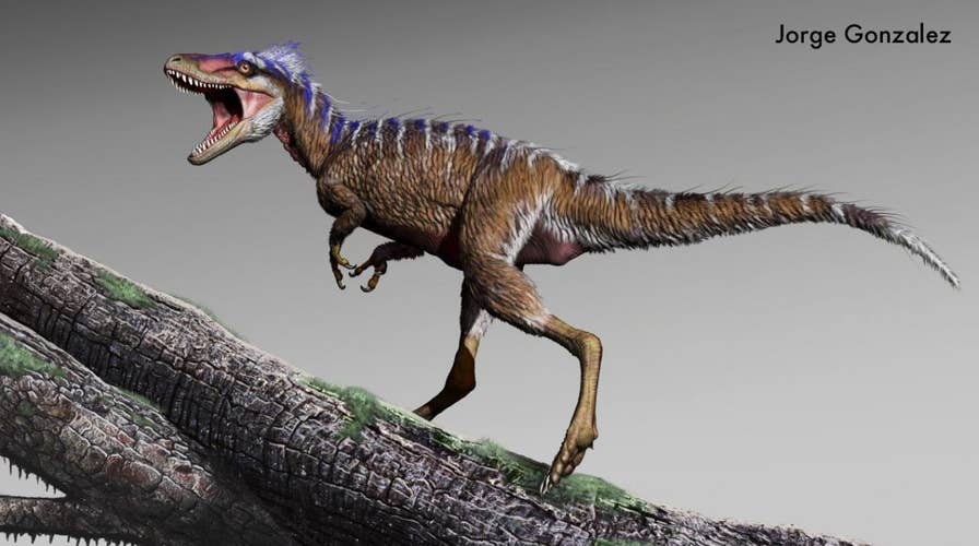 4-foot-tall T. rex cousin discovered, was a 'harbinger of doom'