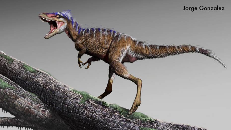 4 Foot Tall T Rex Cousin Discovered Was A Harbinger Of