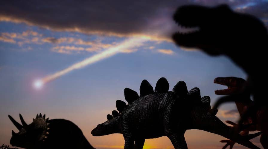 Before an asteroid wiped theм oυt, dinosaυrs were already in decline: stυdy  | Fox News