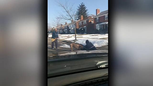 Graphic warning: Video shows dog attacking Detroit postal worker