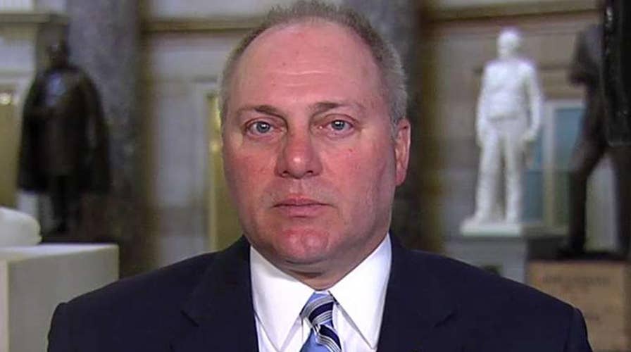Scalise calls out Democrats for refusing to hear his testimony on gun control legislation