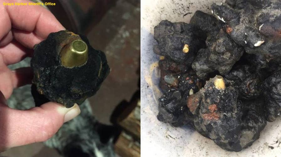 Highly explosive military rounds found on Washington beaches