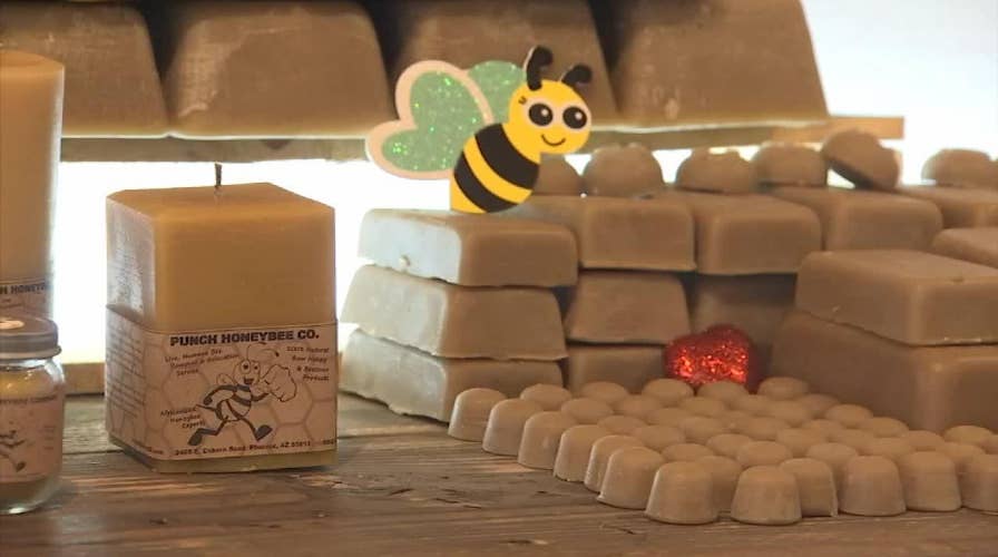 Arizona man puts unwanted bees to work
