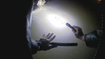 Hero cop pulls stranded dog from icy Erie Canal