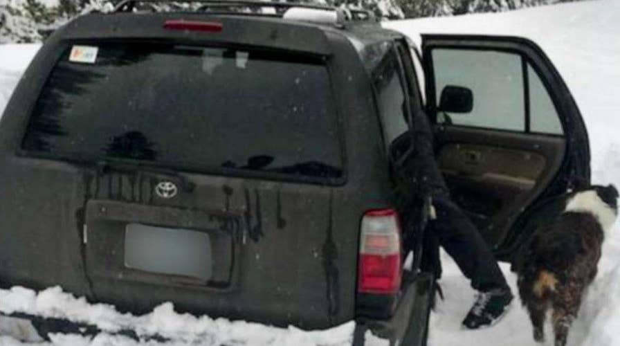 Man trapped by snow survives with Taco Bell fire sauce