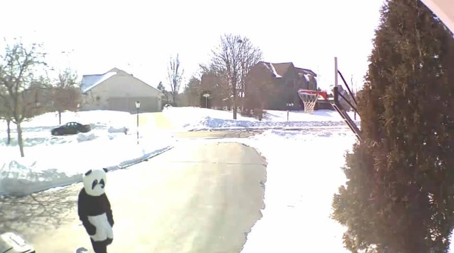 Wisconsin neighbors call 911 on man dressed in panda suit
