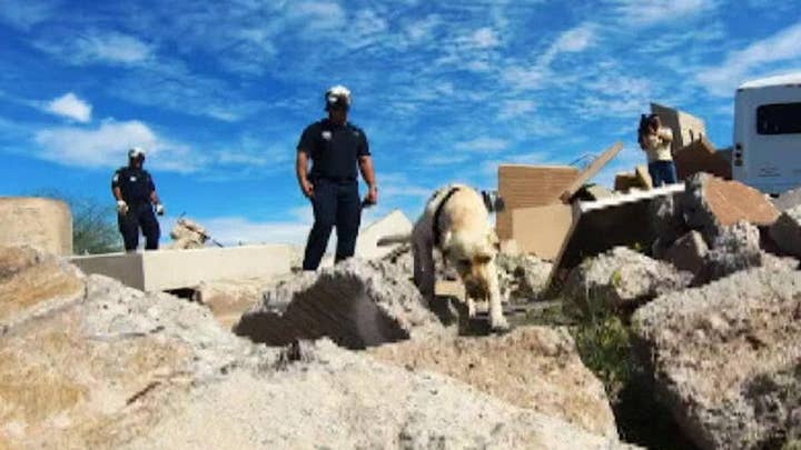 Inside look at training for FEMA search and rescue dogs