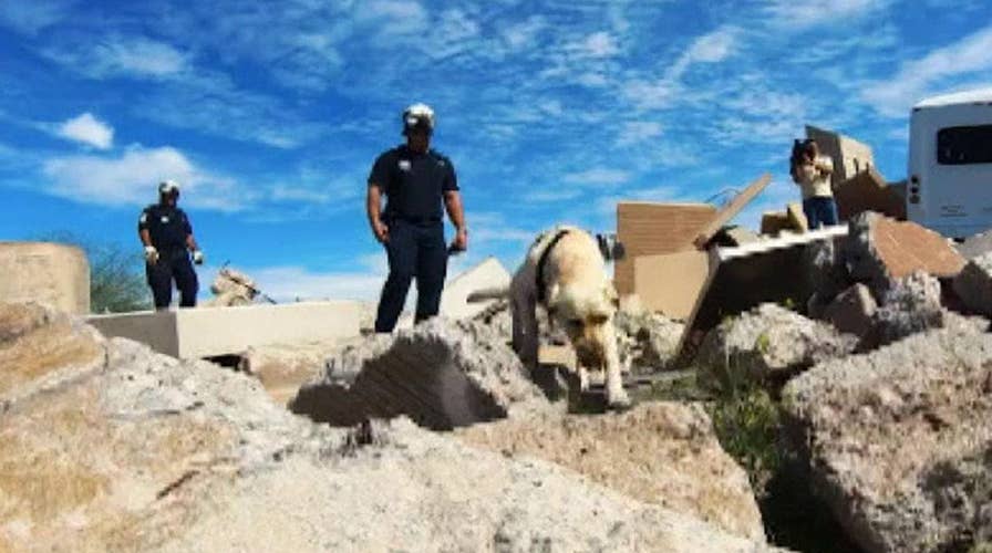 Inside look at training for FEMA search and rescue dogs