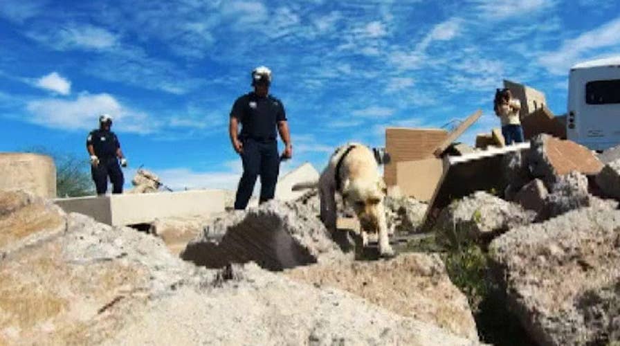 Inside look at training for FEMA search and rescue dogs