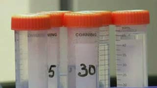 Doctors may have cured second man of HIV - Fox News