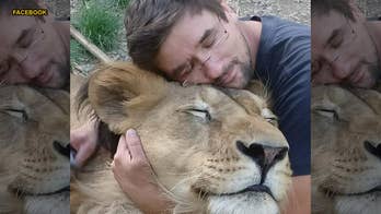 Czech man gets mauled to death by lion he kept in his backyard