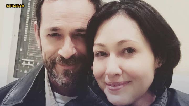 Shannen Doherty 'struggling' with loss of Luke Perry, 'Beverly Hills, 90210' co-star