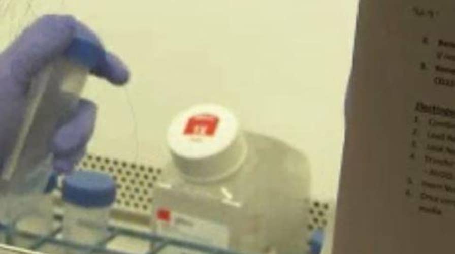 Scientists get new hope for HIV cure