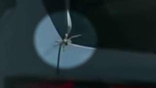 Huge spider sneaks into car in Australia - Fox News