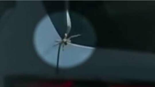 Giant spider filmed sneaking into car in Australia