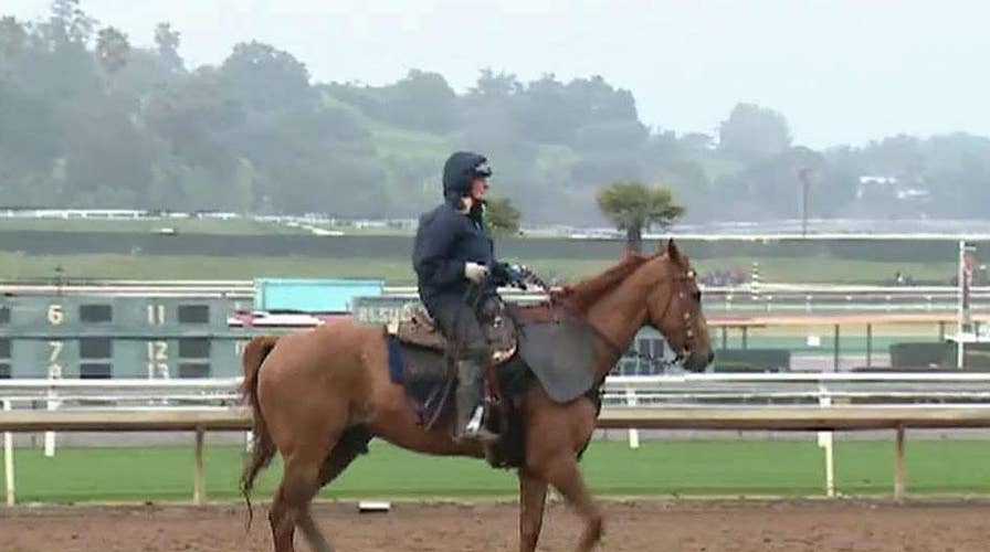 Santa Anita Park suspends racing indefinitely after 21st horse dies