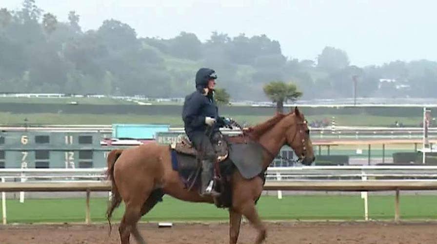 Santa Anita Park suspends racing indefinitely after 21st horse dies