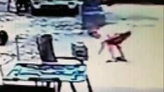 Florida teen lit caged cat on fire, fed corpse to dogs: prosecutors