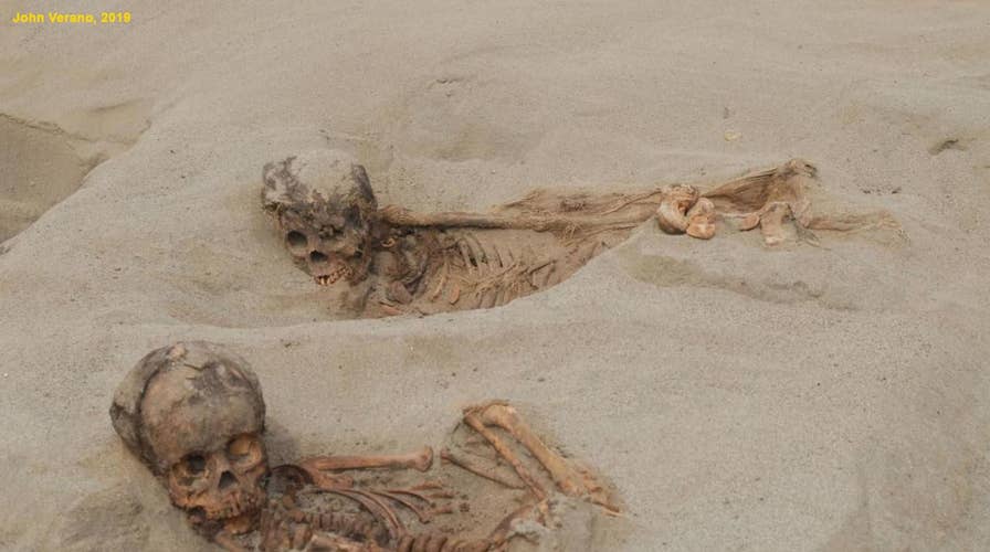 Sacrifice site found in Peru contains the remains of more than 140 children