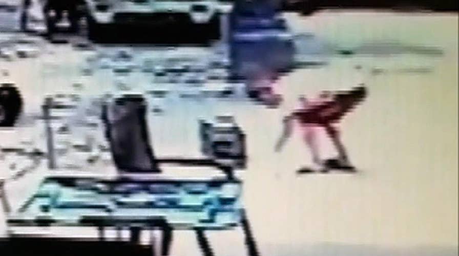 Florida teen accused of allegedly setting caged cat on fire and feeding it to dogs