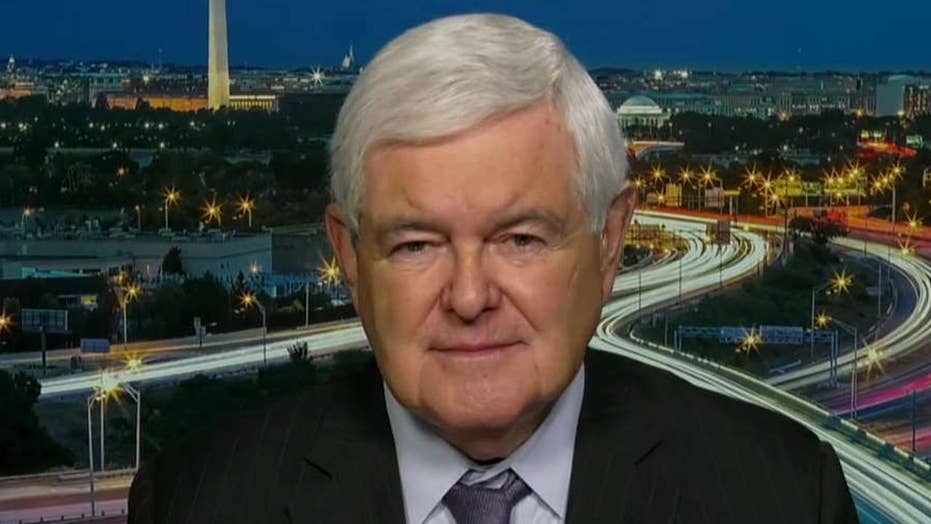Newt Gingrich On Hannity Says Nasty Liberal Dems Engaging In