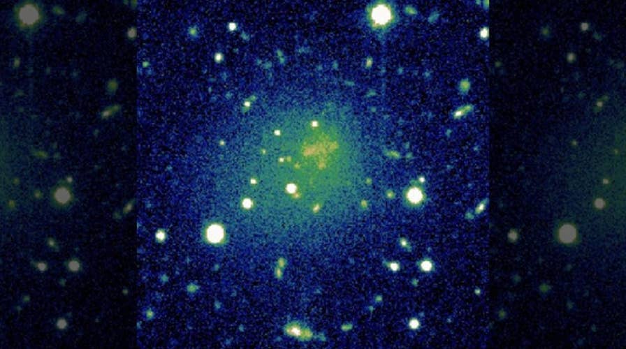 ‘Living fossil’ discovered in deep space