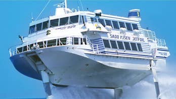 Over 80 people injured after Japanese ferry smashes into whale