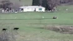 Police shootout with suspect in Oregon after car chase captured in dramatic video