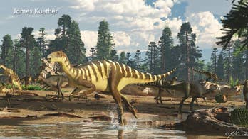 Newt Gingrich: Dinosaurs and a revolution in science portrayed right before your eyes