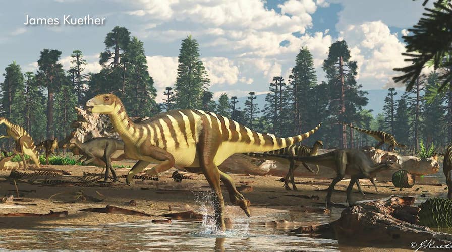 Fossil of small dinosaur discovered in Australia