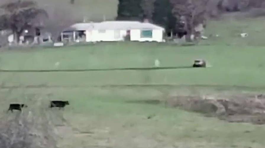 Police shootout caught on video in Oregon