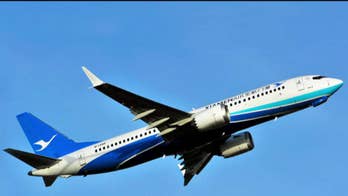 Flight attendants’ unions urge US carriers to ground Boeing 737 Max 8 aircrafts