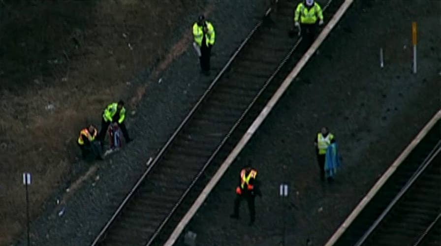 Raw video: Rescuers save injured bald eagle on Maryland train track