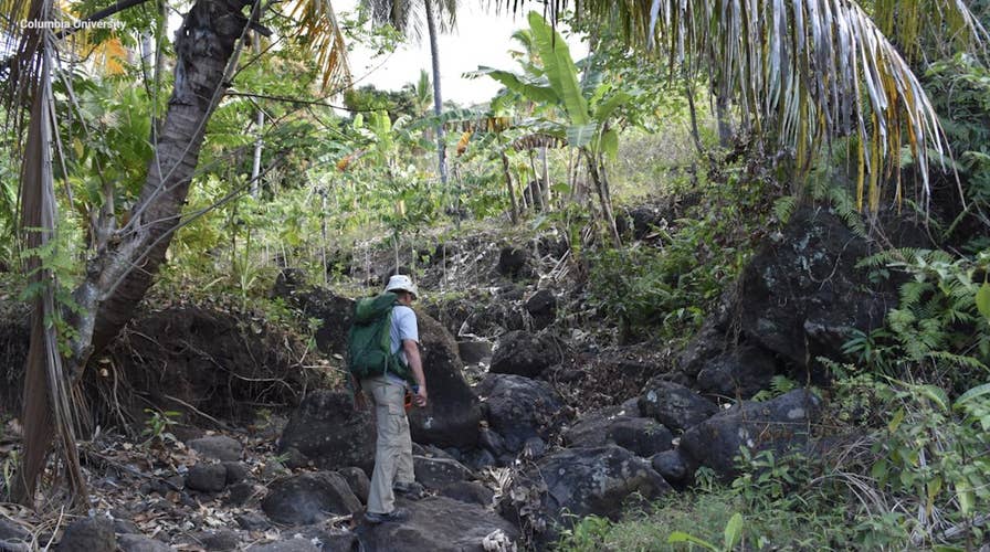 'Impossible' discovery found on remote island off African coast