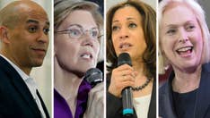 Democrats face a 2020 choice problem