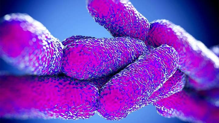 WI health officials: Water system at Christmas Mountain resort has tested positive for Legionnaires’ bacteria