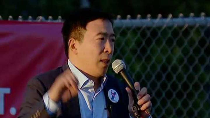 2020 candidate Andrew Yang proposes $1K per month for every American