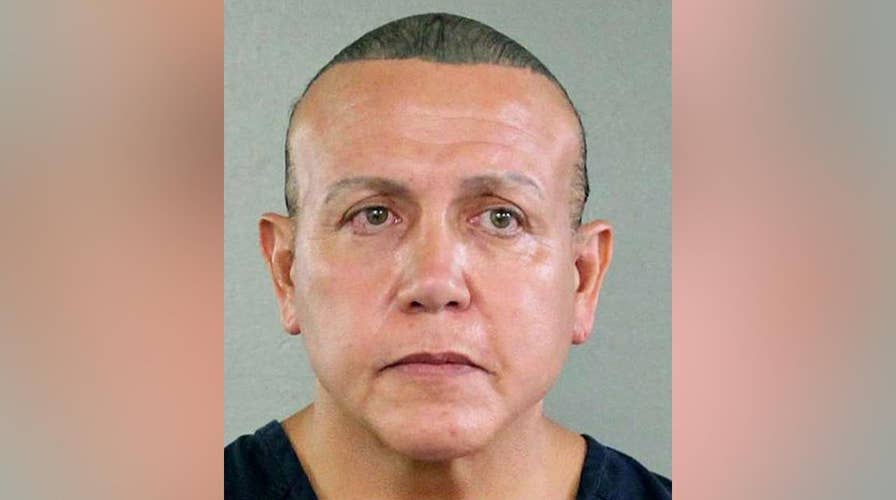 Florida pipe bomb suspect pleads guilty