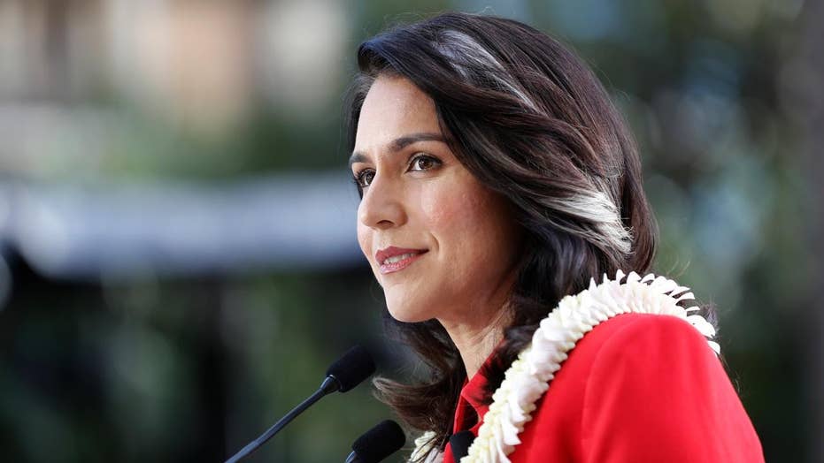 Joe Rogan Tour 2020 Tulsi Gabbard mocks Bill and Hillary Clinton's speaking tour Joe Rogan Tour 2020 Tulsi Gabbard mocks Bill and Hillary Clinton's speaking tour
