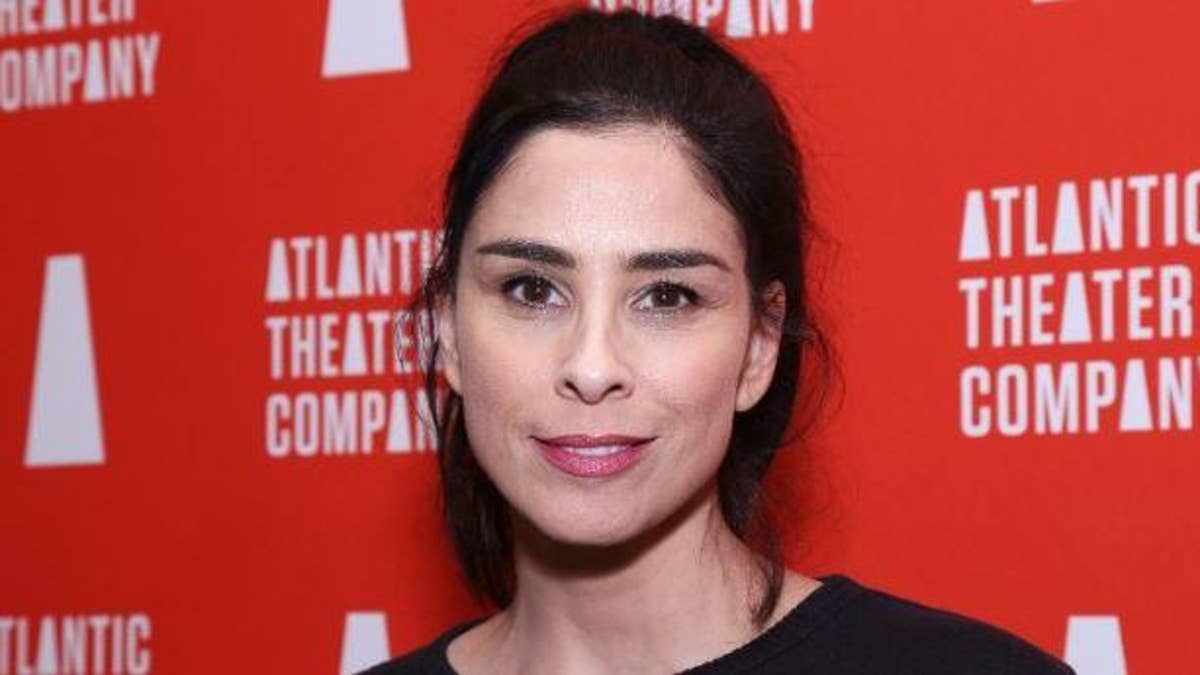 Sarah Silverman tests Instagram's community guidelines with topless photo |  Fox News