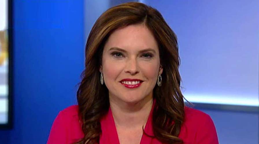 Schlapp: Democrats have spent two years building collusion narrative