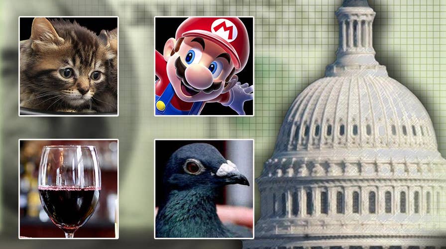 Tournament of Government Waste bracket highlights DC spending at its worst