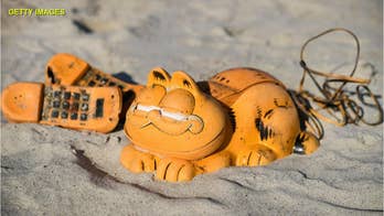 Mystery of plastic Garfield novelty phones washing up solved